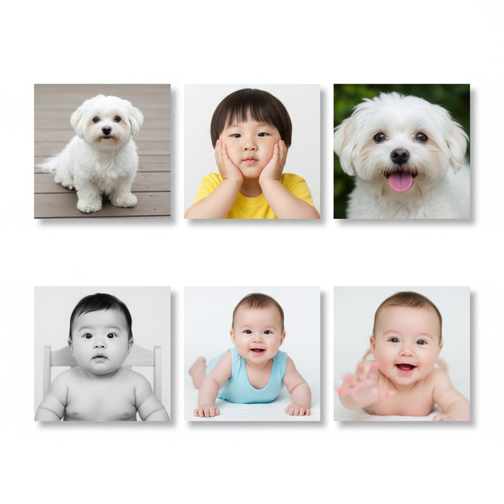 2x2" Photo Magnets - Set of 6