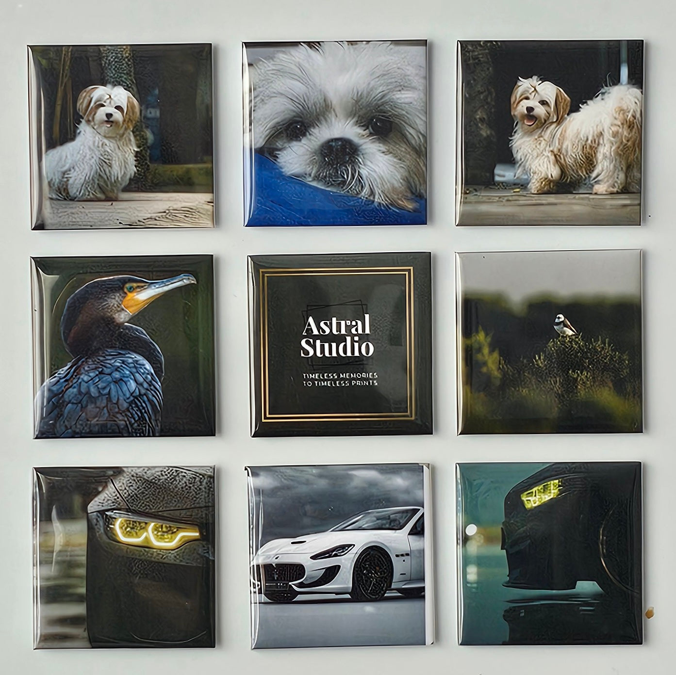 2x2" Photo Magnets - Set of 9